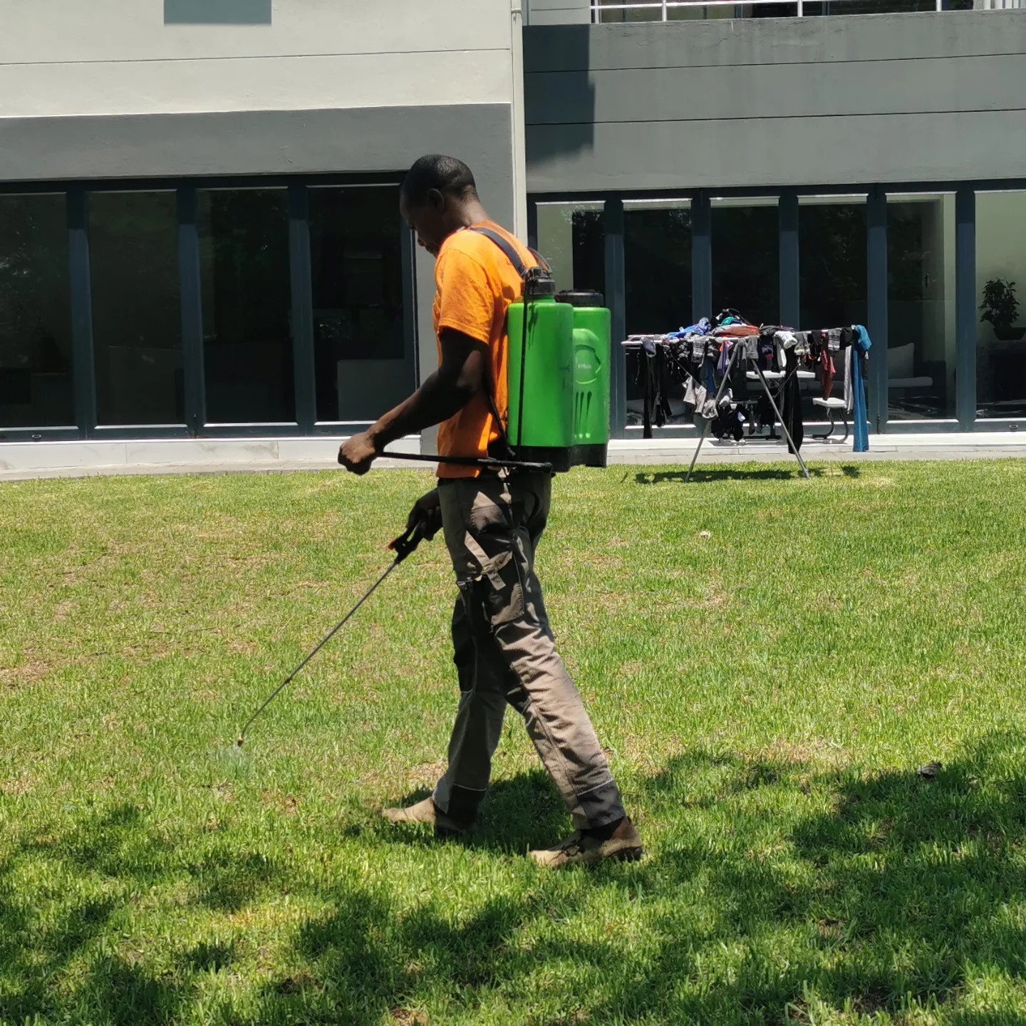 Pest Control Services